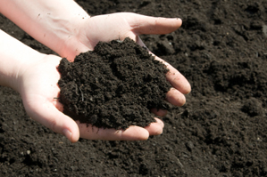 our plan - clean soil